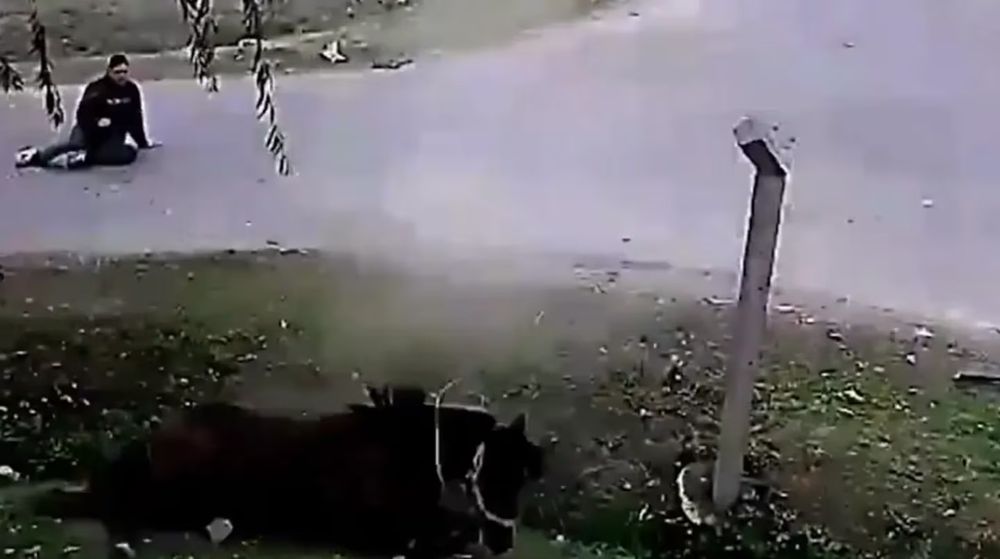 El joven solo sufrió heridas leves en las piernas, la espalda y la cintura, mientras que el caballo se encuentra en buen estado de salud y junto a sus dueños.