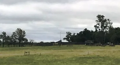 Venden al mejor postor un campo de 260 hectáreas en Soriano