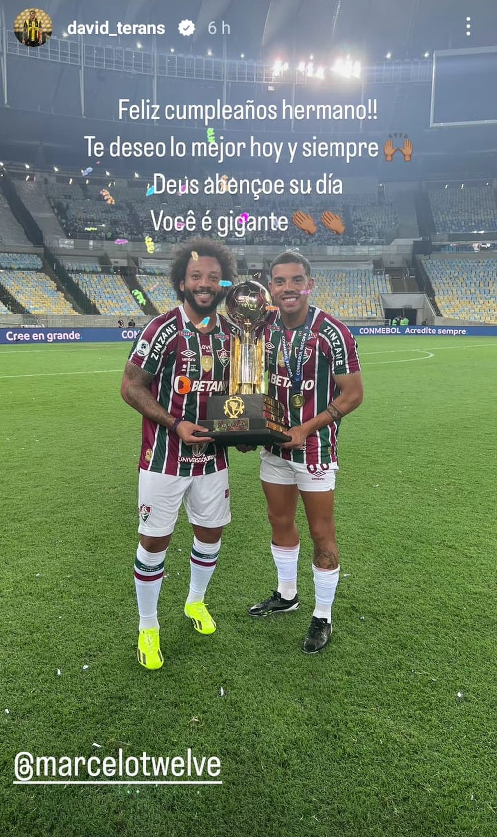 Marcelo y David Terans en Fluminense Marcelo y David Terans en Fluminense