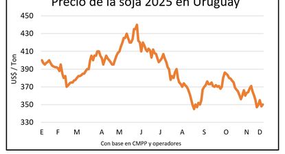 Mercado de granos, Blasina y Asociados.