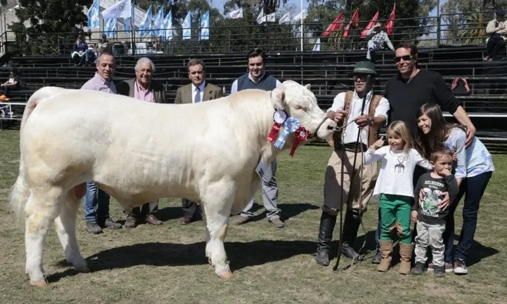 El toro Gran Campeón llegó desde Colonia.