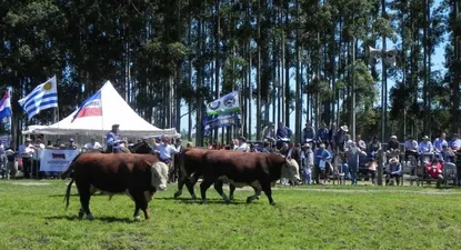 El Observador | 0002428322.webp