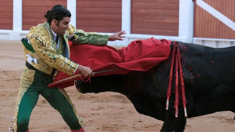 Corrida de toros