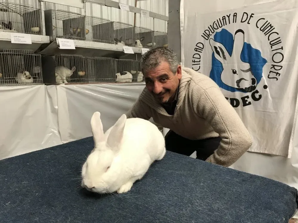 Gustavo Zícari, uno de los jurados, junto al mejor de los conejos de la Rural del Prado.