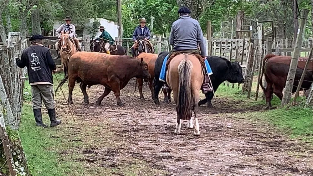 Este fue el 19° remate de la cabaña.
