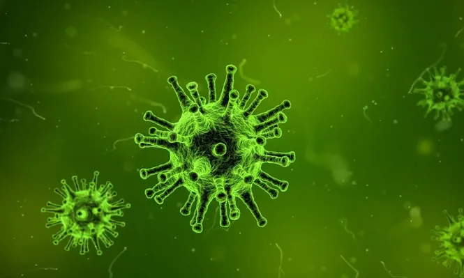 A pesar de su mala fama, los virus se usan, por ejemplo, para tratar enfermedades