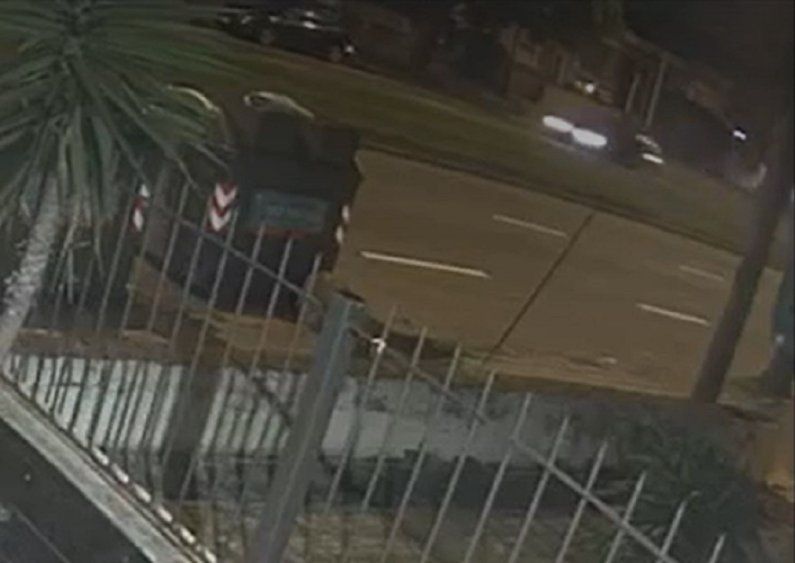 Accidente por picadas en el Buceo