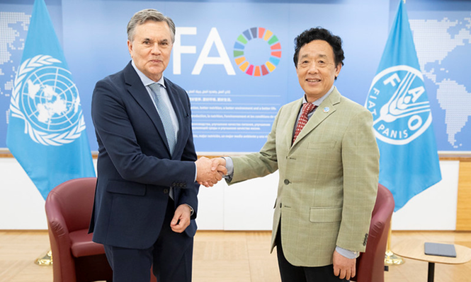 IICA y una instancia de alto valor: el Director General del IICA, Manuel Otero, y la máxima autoridad de la FAO, Qu Dongyu, determinaron&nbsp;acrecentar las&nbsp;acciones para el fortalecimiento de la agricultura familiar y la seguridad alimentaria, tanto en el Caribe como en el Corredor Seco Centroamericano.