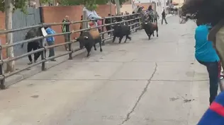 Encierro en Pantoja (Toledo) con motivo de las Fiestas en honor a Santa Bárbara