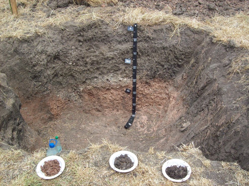 Suelos, un recurso clave cuyo estudio es de alta relevancia para el MGAP.