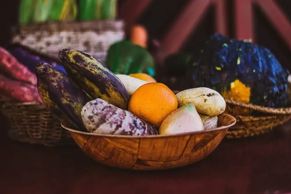 ¿Qué son las micotoxinas y