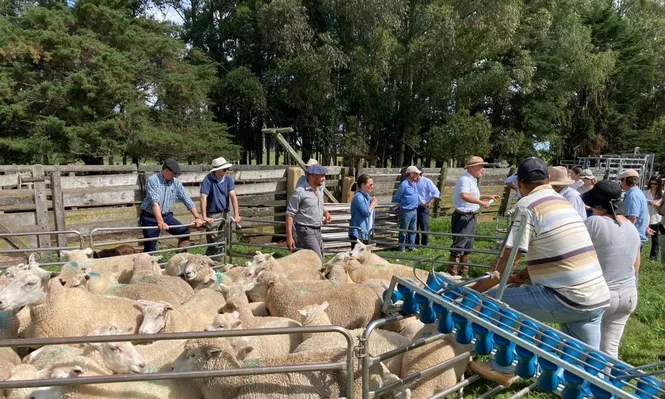 Jornada anual de productores.
