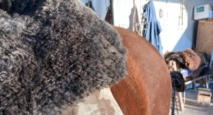 El Observador | 1662668769058.webp