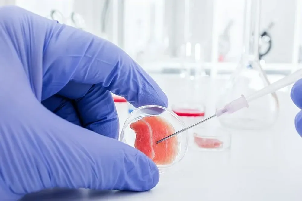 Carne de laboratorio.