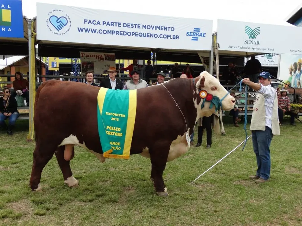 El Gran Campeón Polled y Campeón Supremo coronado por Alejandro Costa y Fernando Alfonso.