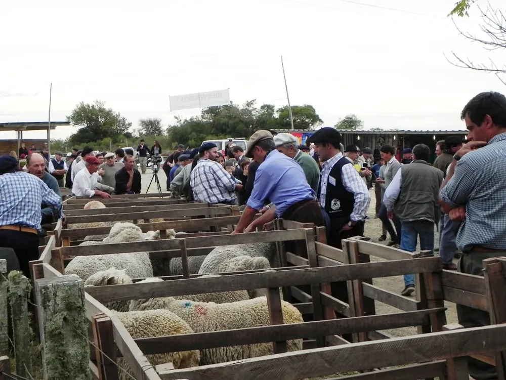 La gira concluyó el sábado en el Día Nacional de la Oveja