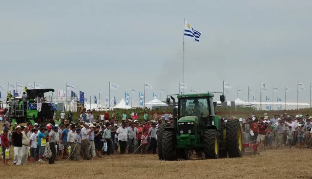 Un de las plantadoras en acción ayer en el área de la activa