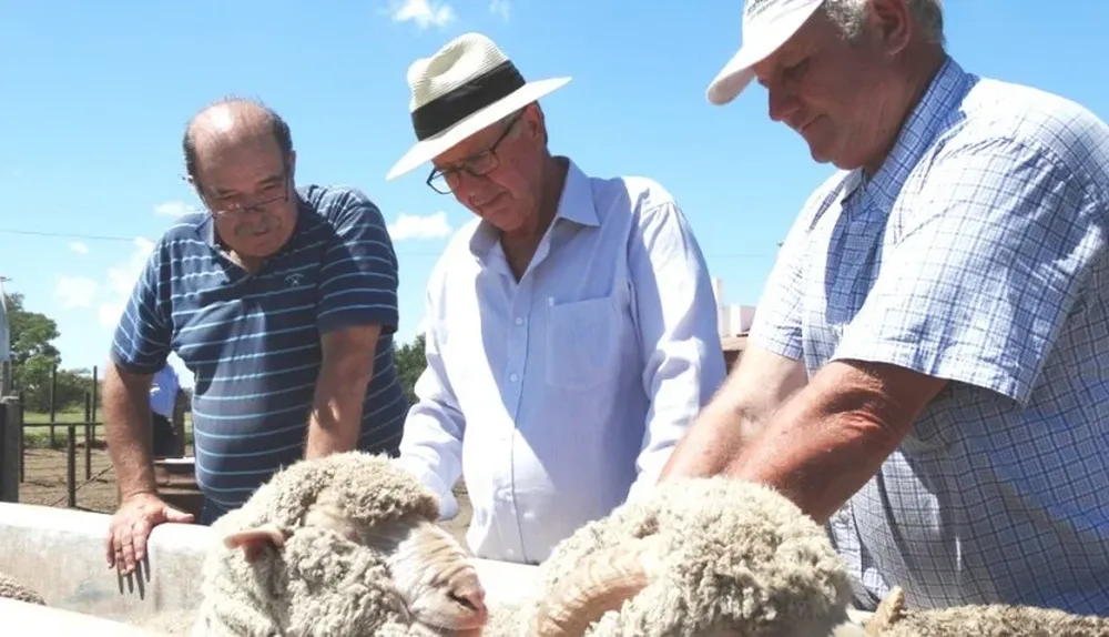 Gustavo Peinado, Phil Toland y Douglas Cortela en Santa Catalina