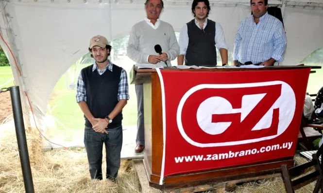 Negocios a cargo de Zambrano & Cía